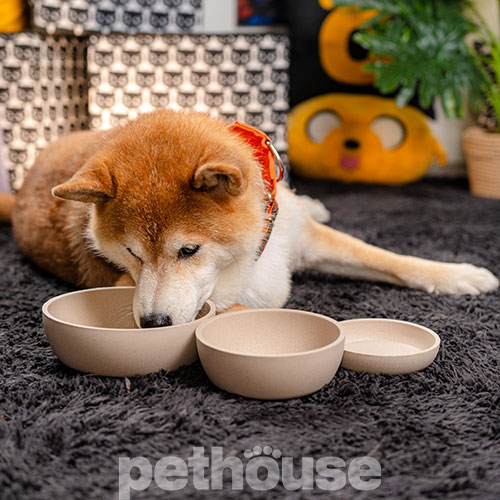 Pethouse Полімерна Миска Bamboo Plate для собак і котів, світло-бежева