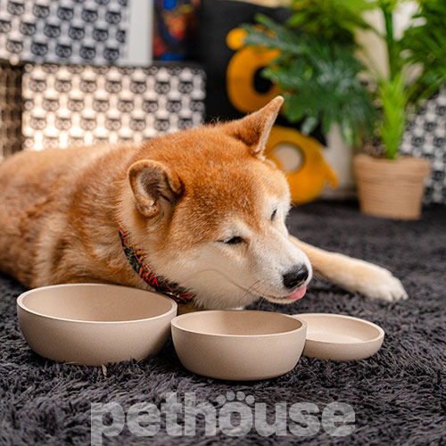 Pethouse Полімерна Миска Bamboo Plate для собак і котів, світло-бежева