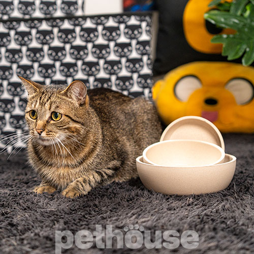 Pethouse Полімерна Миска Bamboo Plate для собак і котів, світло-бежева