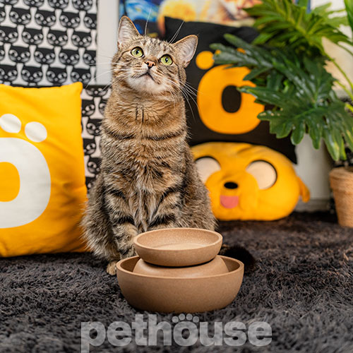 Pethouse Полімерна Миска Bamboo Plate для собак і котів, коричнева