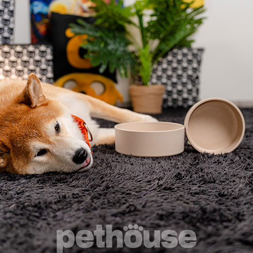 Pethouse Полімерна Миска Bamboo Round для собак і котів, світло-бежева