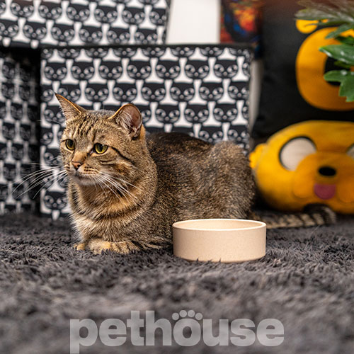 Pethouse Полімерна Миска Bamboo Round для собак і котів, світло-бежева
