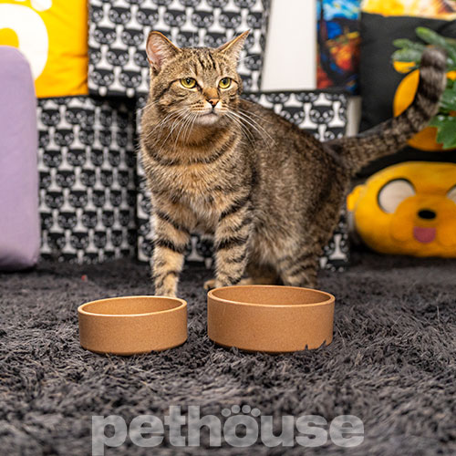 Pethouse Полімерна Миска Bamboo Round для собак і котів, коричнева