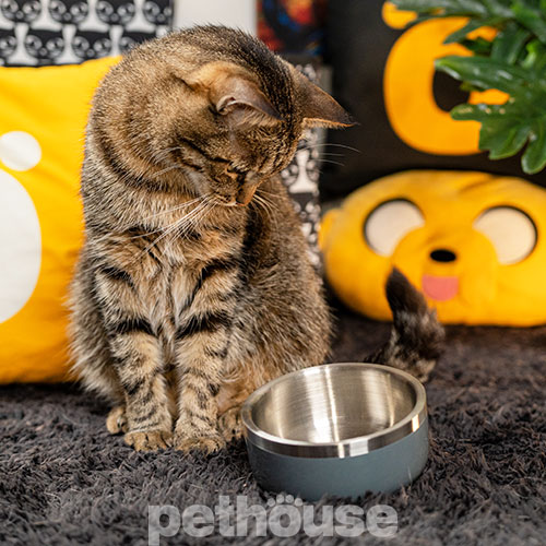 Pethouse Металева миска Rocky для собак і котів, сіра
