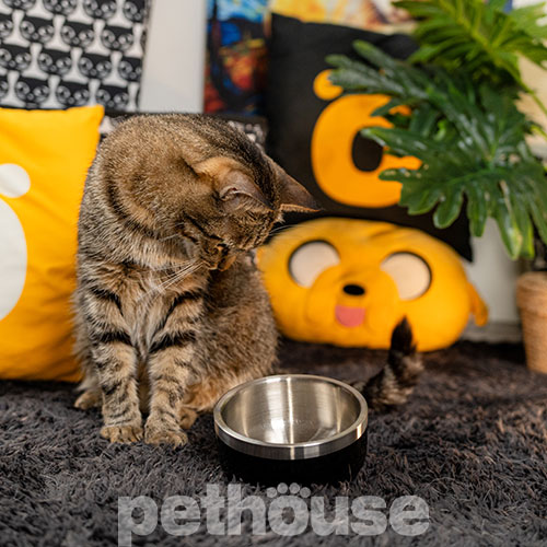 Pethouse Металева миска Rocky для собак і котів, чорна