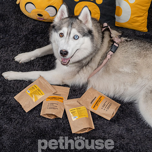 Pethouse Mini Печиво з індичкою та бататом для собак