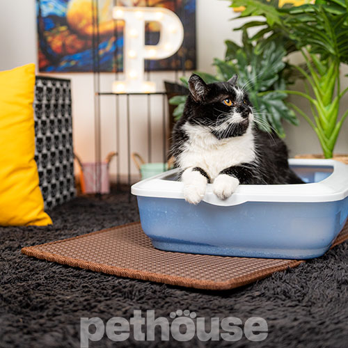 Pethouse Килимок під туалет для котів, коричневий Pethouse Килимок під туалет для котів, коричневий