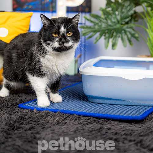 Pethouse Килимок під туалет для котів, темно-синій Pethouse Килимок під туалет для котів, темно-синій