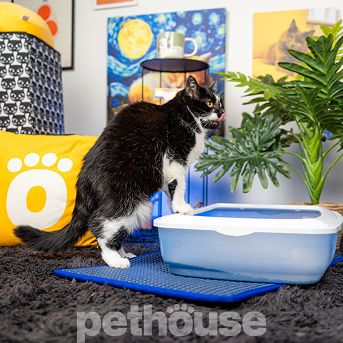 Pethouse Килимок під туалет для котів, темно-синій Pethouse Килимок під туалет для котів, темно-синій