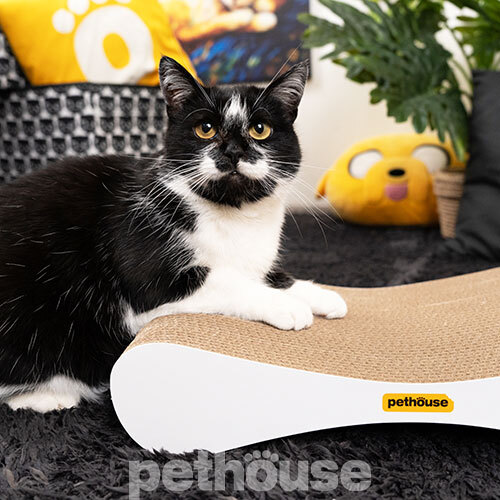 Pethouse Когтеточка Ocean XS для кошек