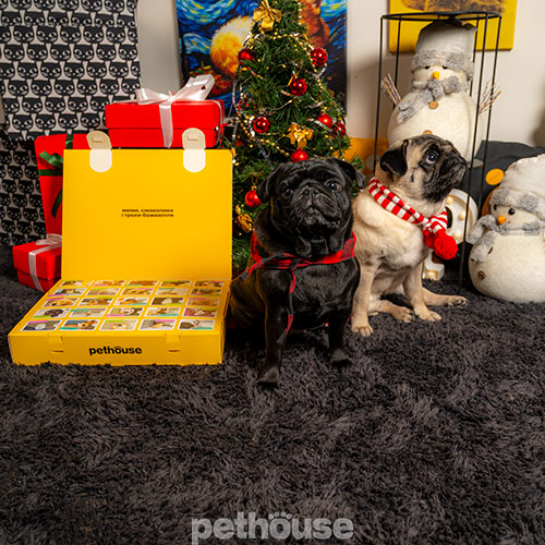 Pethouse Адвент-календар звірячого щастя для песиків Pethouse Адвент-календар звірячого щастя для песиків