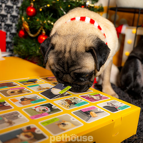 Pethouse Адвент-календар звірячого щастя для песиків Pethouse Адвент-календар звірячого щастя для песиків