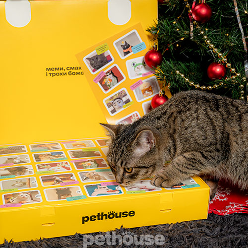 Pethouse Адвент-календарь зверского счастья для котиков