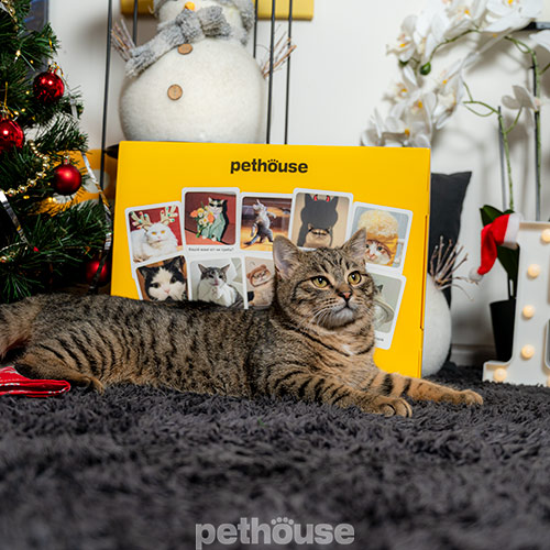 Pethouse Адвент-календарь зверского счастья для котиков