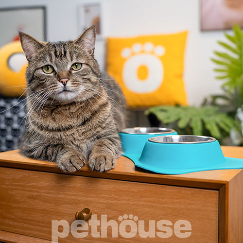 Pethouse Миски на силиконовой подставке Twins Bowl для собак и кошек, голубая