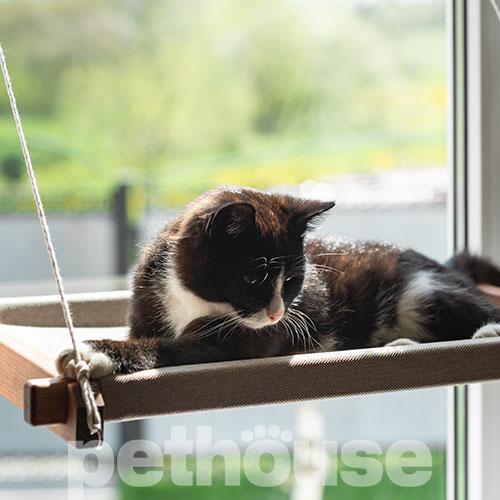 PetJoy Гамак на окно для кошек Brown Beige, фото 4