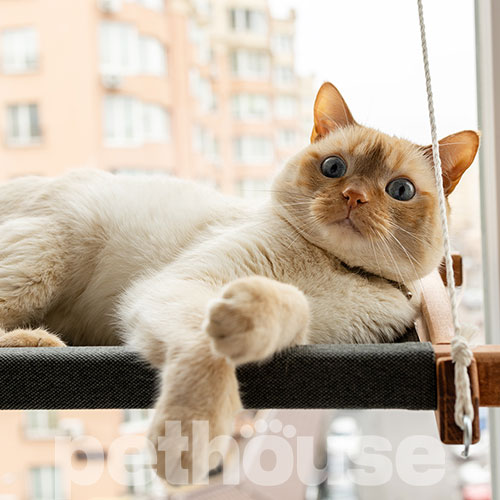PetJoy Гамак на вікно для котів Brown Gray, фото 6