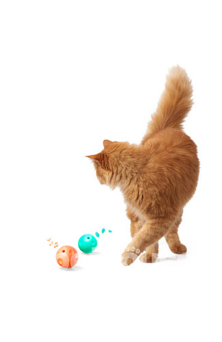Petkit Игровой трек с когтеточкой Fun Cat Scratcher 4 in 1, фото 7