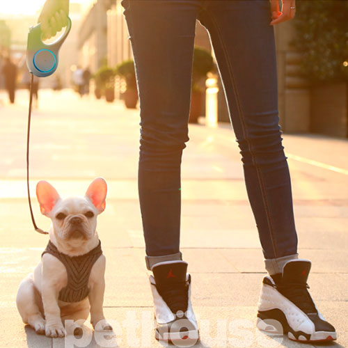 Petkit Поводок-рулетка Go Shine Standard Pet Retractable Leash для собак, лента, 3 м, фото 8