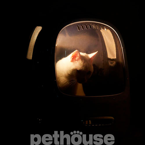 Petkit Рюкзак-переноска Breezy2 Smart Cat Carrier Blue для кошек и собак весом до 8 кг, фото 9