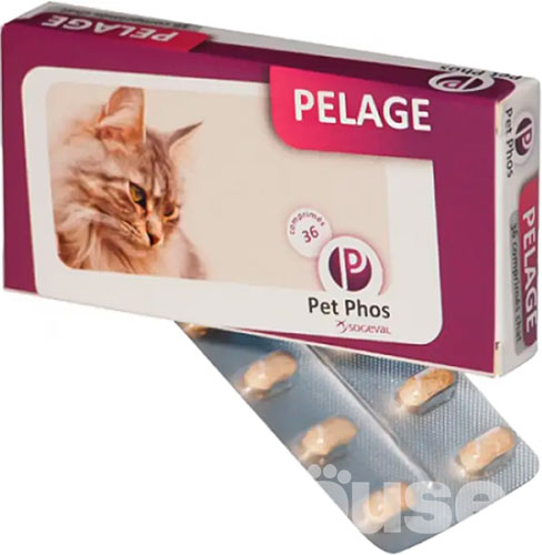 Pet Phos Pelage Cat, фото 2