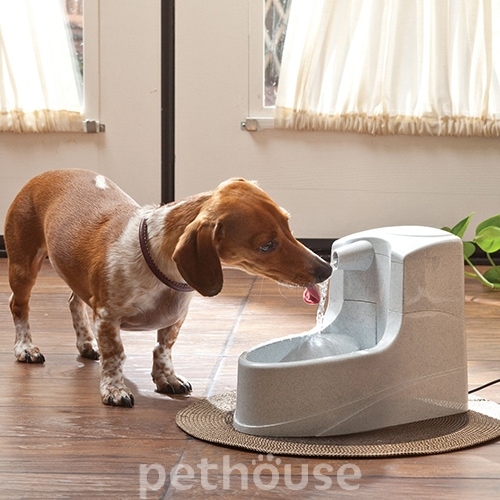 PetSafe Drinkwell Mini Pet автоматический фонтан-поилка для собак и кошек, фото 4