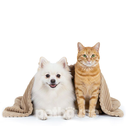 Pets Heaven Плюшевый плед Taupe для собак и кошек