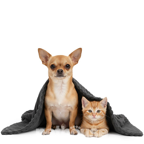 Pets Heaven Плюшевый плед Anthracite для собак и кошек