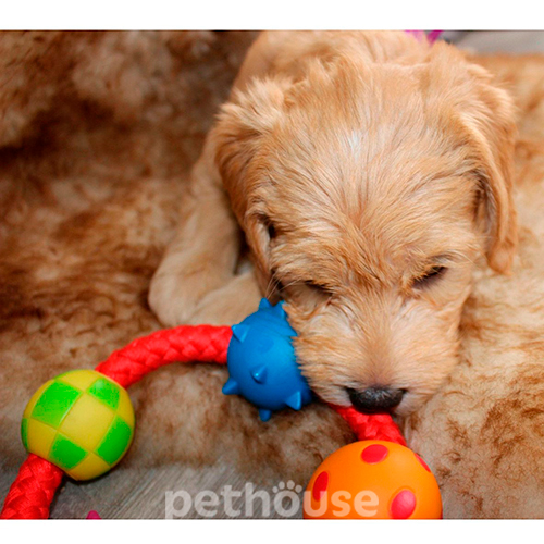 Petstages Multi Texture Chew Ring Канат-кольцо с мячиками для собак, фото 3