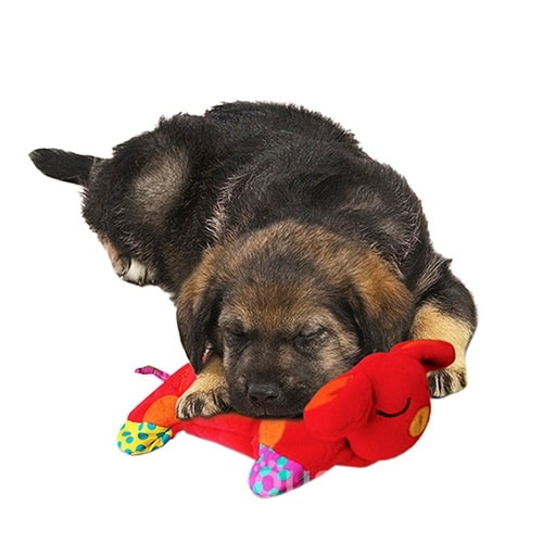 Petstages Puppy Cuddle Pal Игрушка для щенков и взрослых собак 