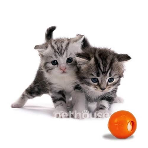 Petstages Orka Cat Ball with Bell - Мячик с колокольчиком для кошек, фото 2
