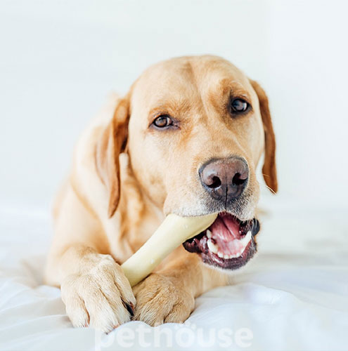 Petstages Chick-a-Bone Кісточка з ароматом курки для собак