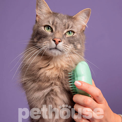 Pet Teezer Cat Grooming Green Щетка для вычесывания кошек, фото 6
