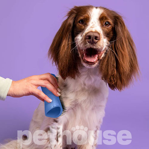 Pet Teezer Detangling & Grooming Blue Grey Щетка для распутывания шерсти собак, фото 6