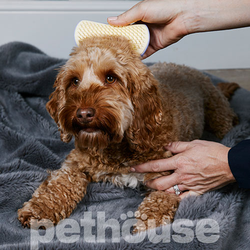 Pet Teezer Mini Detangling & Grooming Lilac Yellow Щітка для розплутування шерсті собак, фото 7