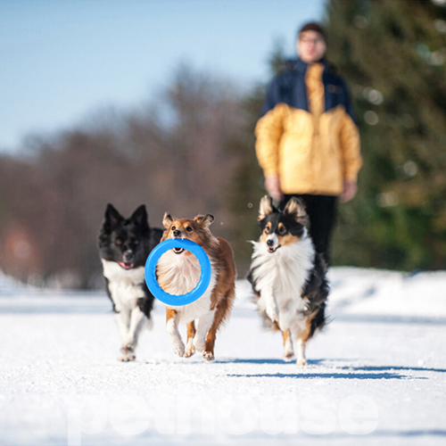 PitchDog Ігрове кільце для собак, 20 см