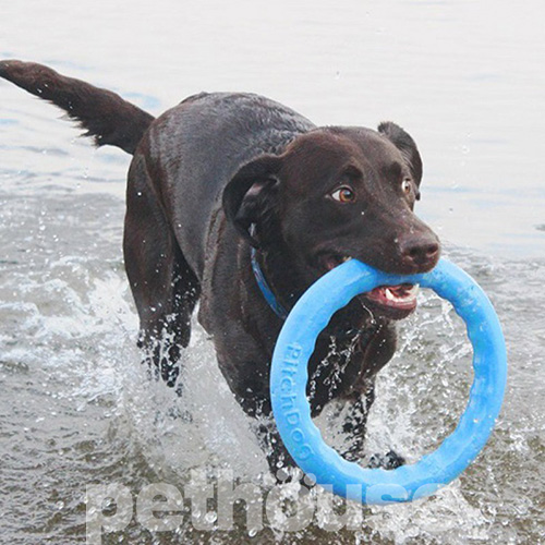 PitchDog Ігрове кільце для собак, 30 см