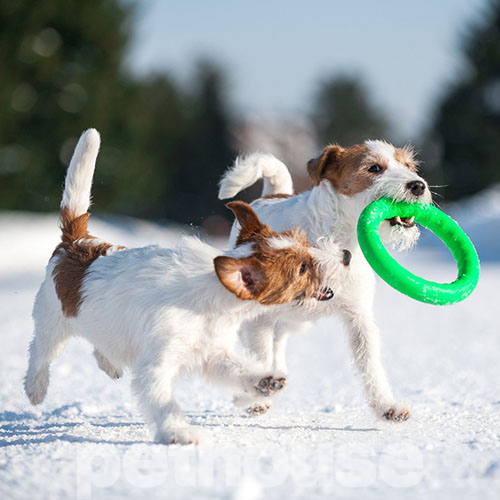 PitchDog Ігрове кільце для собак, 17 см