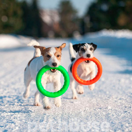 PitchDog Игровое кольцо для собак, 17 см, фото 7