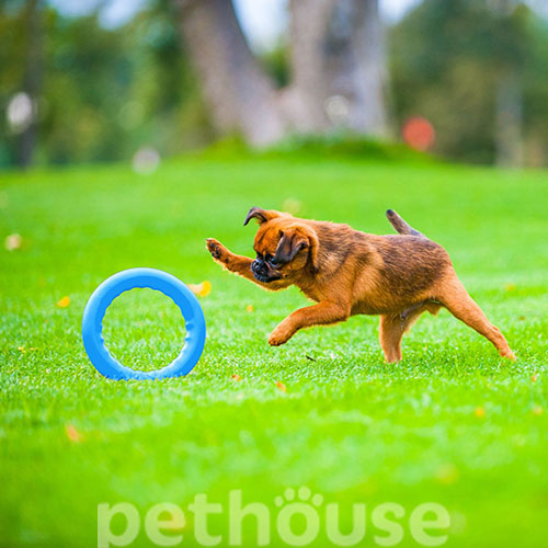 PitchDog Игровое кольцо для собак, 17 см, фото 8