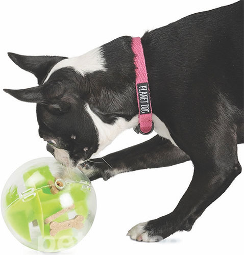 Planet Dog Orbee-Tuff Іграшка-лабіринт для ласощів для собак