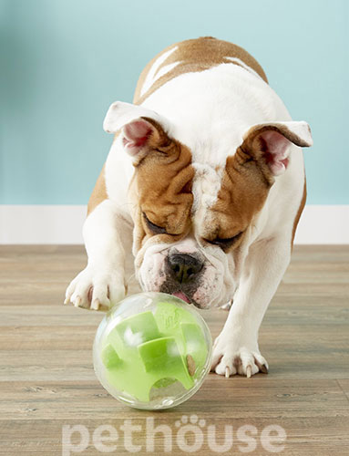 Planet Dog Orbee-Tuff Игрушка-лабиринт для лакомств для собак, фото 5