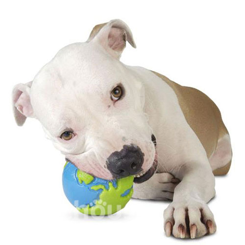 Planet Dog Orbee-Tuff М'яч-земна куля для собак, фото 3