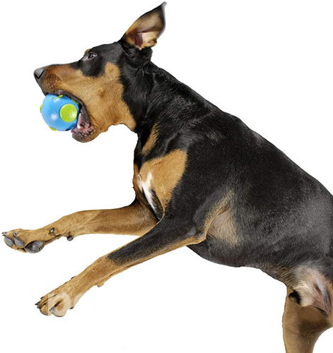Planet Dog Orbee-Tuff Мяч-земной шар для собак, фото 4