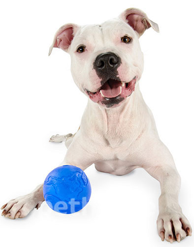 Planet Dog Orbee-Tuff М'яч-земна куля для собак, синій, фото 2