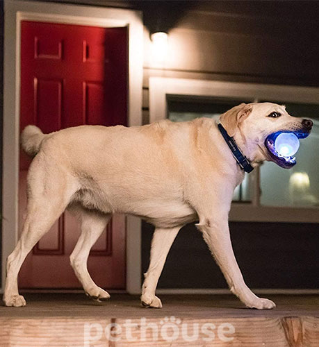 Planet Dog Orbee-Tuff Strobe Ball Светящийся мяч для собак, фото 3