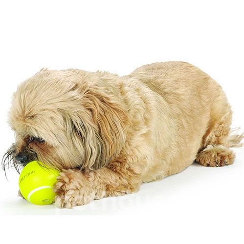 Planet Dog Orbee-Tuff Tennis Ball Теннисный мяч для собак, фото 2