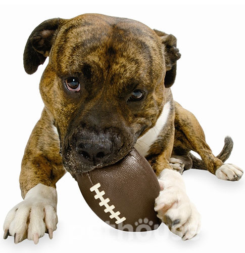 Planet Dog Orbee-Tuff Football Brown Футбольный мяч для собак, коричневый, фото 3