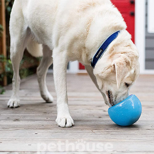 Planet Dog Orbee-Tuff Snoop Іграшка для ласощів для собак, фото 5