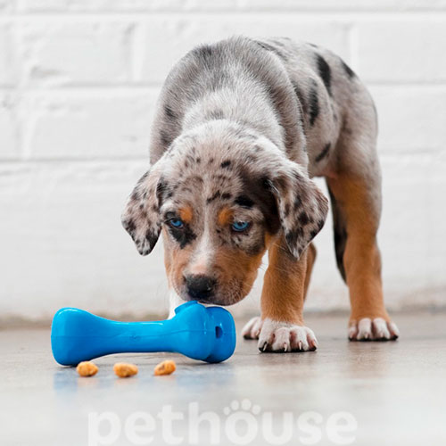 Planet Dog Orbee-Tuff Bone Косточка для собак, голубая, фото 4
